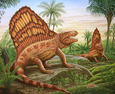 Two Dimetrodons in a field